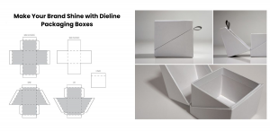 image make your brand shine with dieline packaging boxes